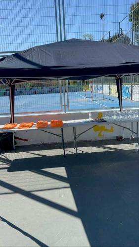 resized WhatsApp-Image-2024-04-13-at-22.21.31-2