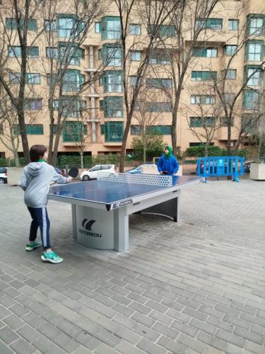 2025.01.25 Torneo de Invierno de Tenis y Pádel