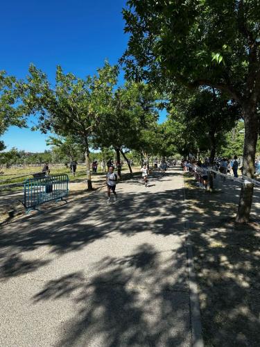 2025.05.23 Cross Escolar