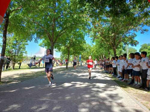 2025.05.23 Cross Escolar